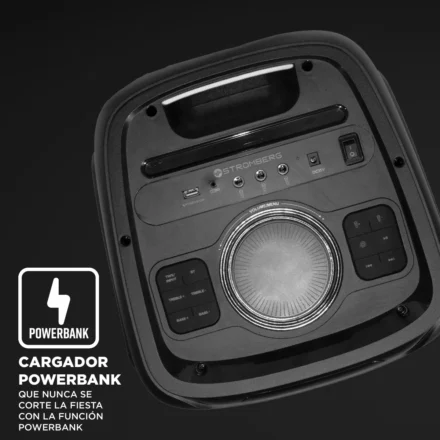 Alternative view of Stromberg Parlante Tone 2