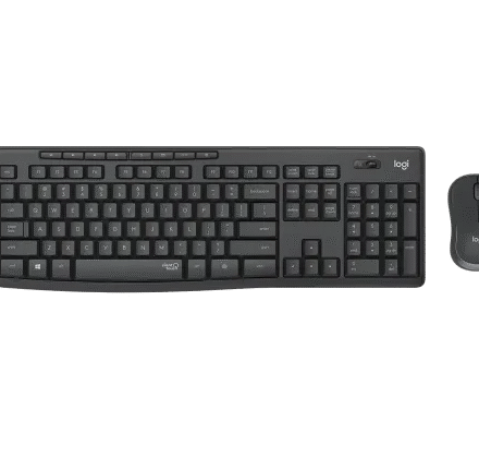 Combo Logitech MK295 Silent Wireless Grafito