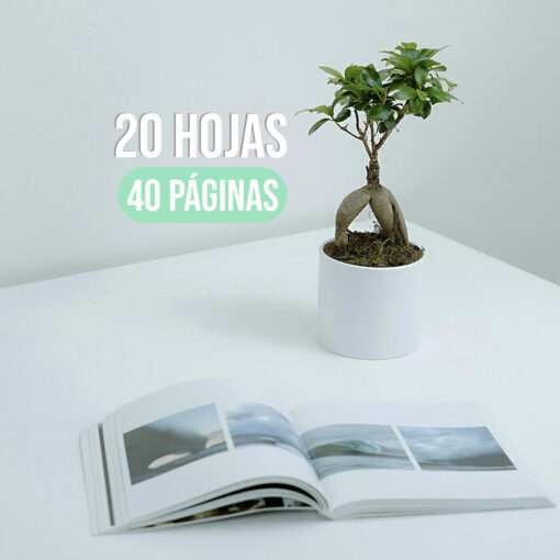 Diseño 20 hojas