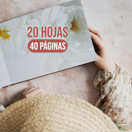 Diseño 3