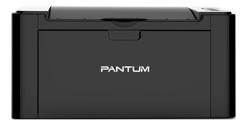 Pantum p2516 4