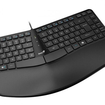 TECLADO CURVO ERGONOMICO GENIUS ERGO KB-700 BLACK USB