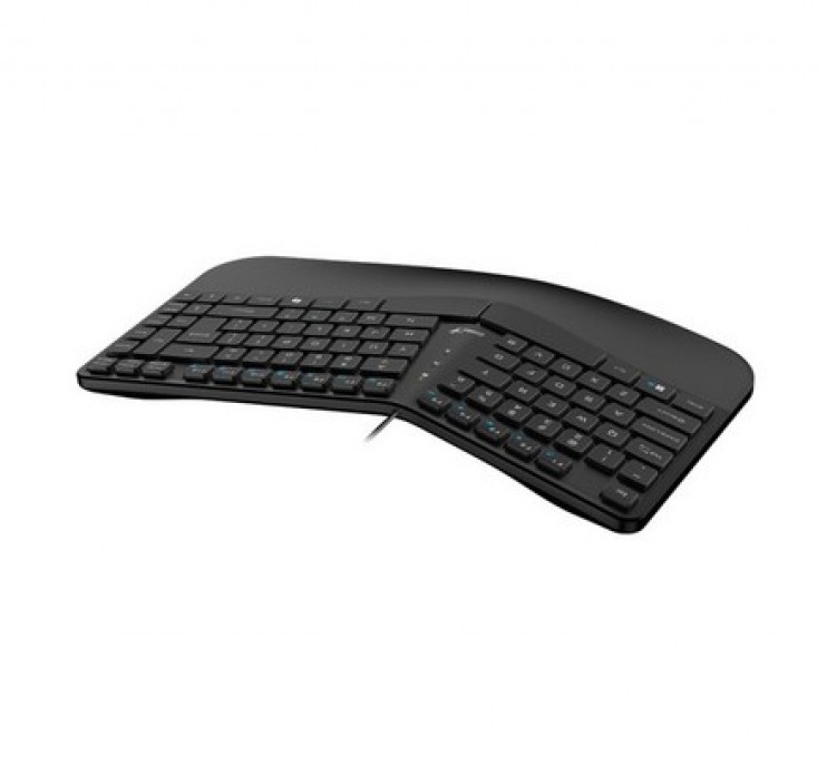 TECLADO CURVO ERGONOMICO GENIUS ERGO KB-700 BLACK USB - 3 TECLADO CURVO ERGONOMICO GENIUS ERGO KB-700 BLACK USB