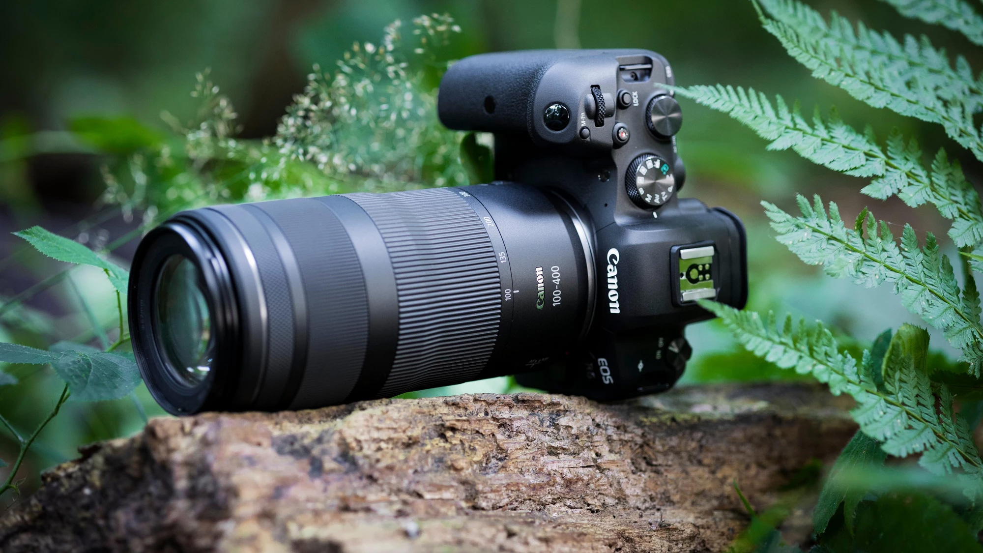 lp img rf 100 400mm f5 03 lp img rf 100 400mm f5 03