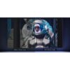 smart tv qled 43″ full hd tcl 43s5k google tv