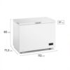 freezer horizontal inverter gafa fghi302b l 316 litros blanco freezer horizontal inverter gafa fghi302b l 316 litros blanco