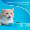 mini alimentador almohadilla para lamer petdreamhouse azul